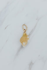 Wings Hawaii small Triton Shell necklace charms in 14k gold-filled. Fine shell jewelry handcrafted in Maui. Modern beachy charm necklaces handmade with authentic Hawaiian sea shells.  thumbnail