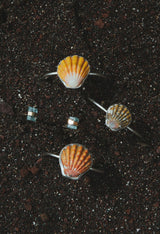 Sunrise Shell Cuff thumbnail