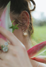 Wings Hawaii Siren Solstice Earrings with Red Schiller Sunstones and Sunrise Shells in solid 14k gold. Hinged for unique movement. Fine jewelry expertly handcrafted in Maui.  thumbnail