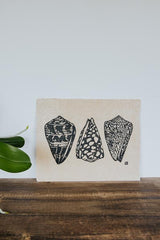Cone Shell Collection Print thumbnail