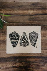Cone Shell Collection Print thumbnail