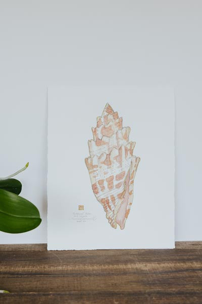 Pontifical Miter Giclee