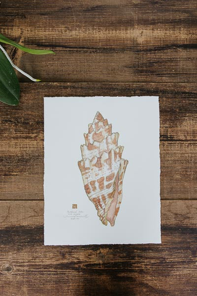 Pontifical Miter Giclee
