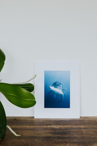 Tara Shay Photo - A Mother's Love Matted Print