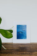 Tara Shay Photo - Mom and Baby Matted Print