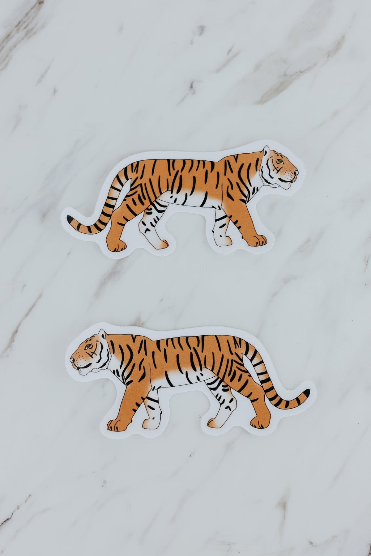 Wandering Tiger Sticker