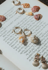 Wings Hawaii Triton Shell Mix Earring Charms. Real Hawaiian beach shells for hoop earrings. Fine shell jewelry handmade in Maui.  thumbnail