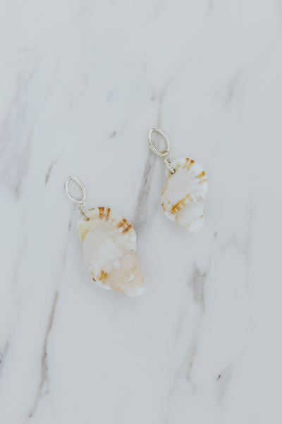 Necklace Charms - White Triton Shells