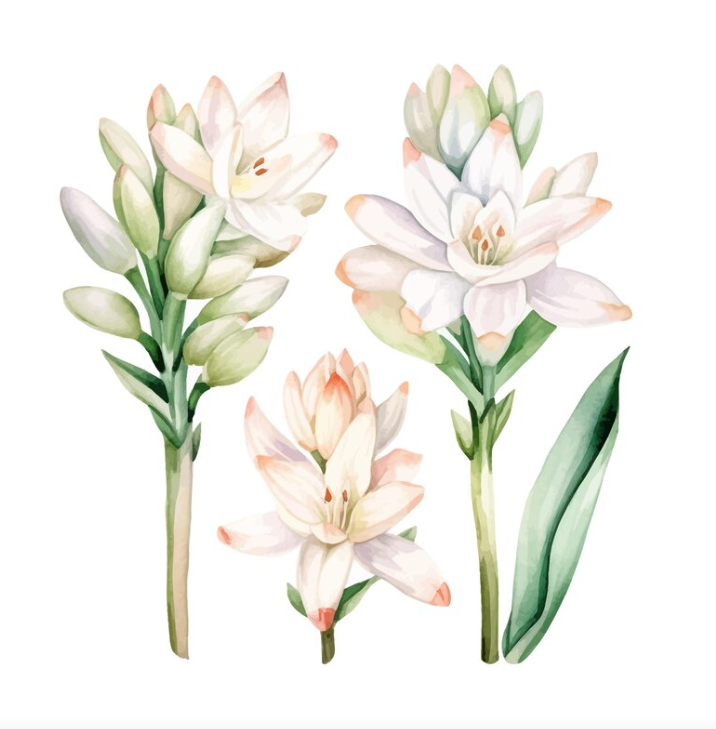 To Be Organics Candle