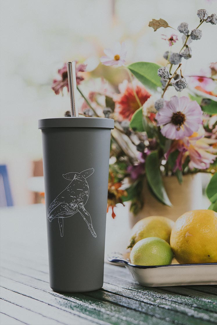 Humpback Whale Tumbler - Grey