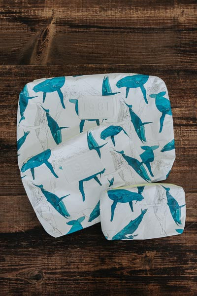 Adventure Pouch - Kohola Migration