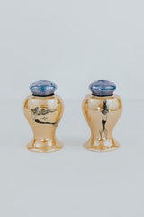 Salt and Pepper Shakers - Orange Luster with Flowers