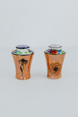 wings hawaii vintage salt and pepper shakers thumbnail