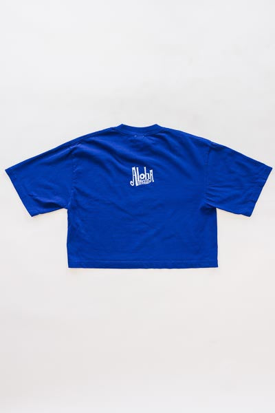 Wings Hawaii whale dance cropped tee clue - back