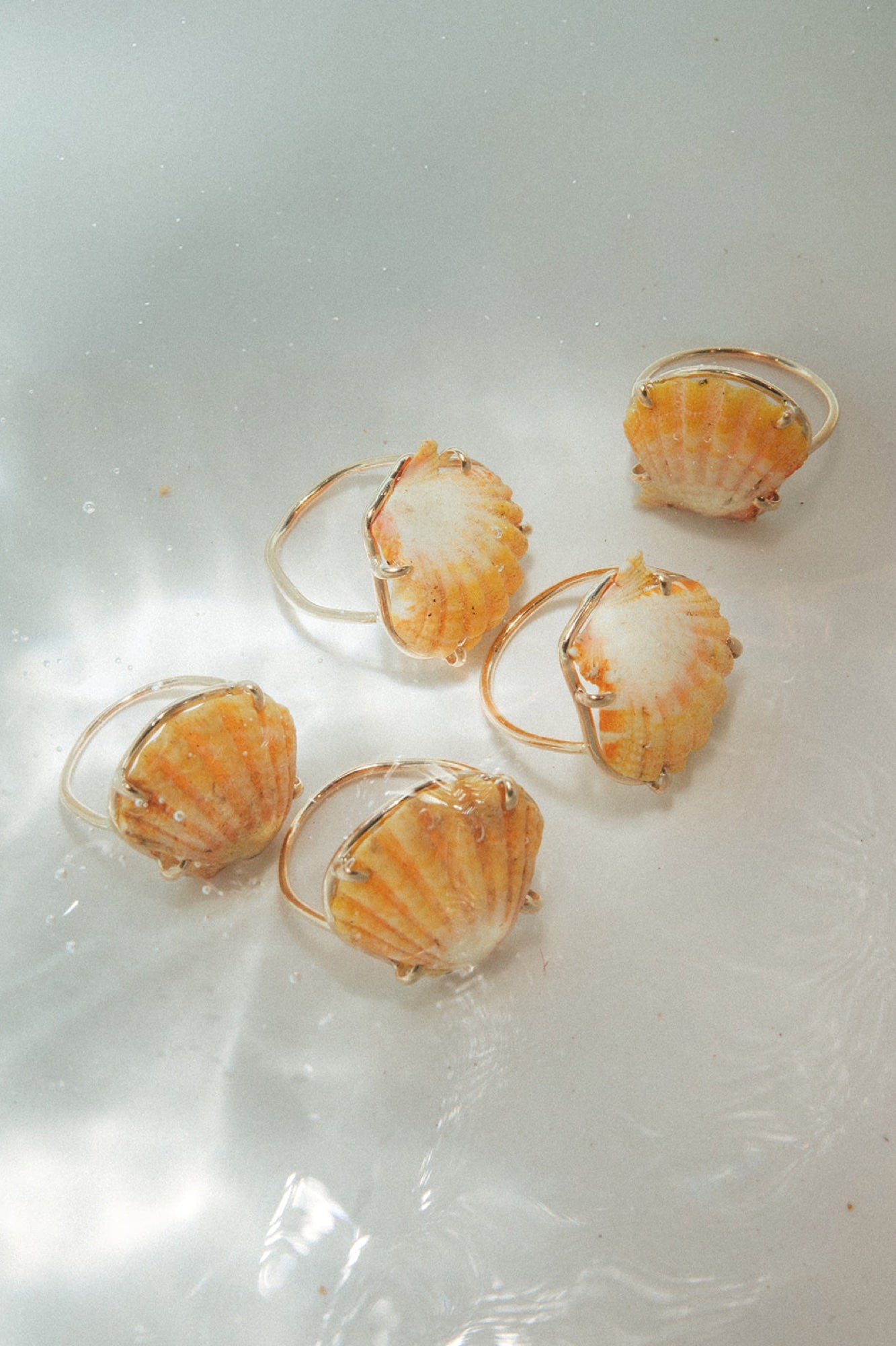 Sunrise shell jewelry in rippling water