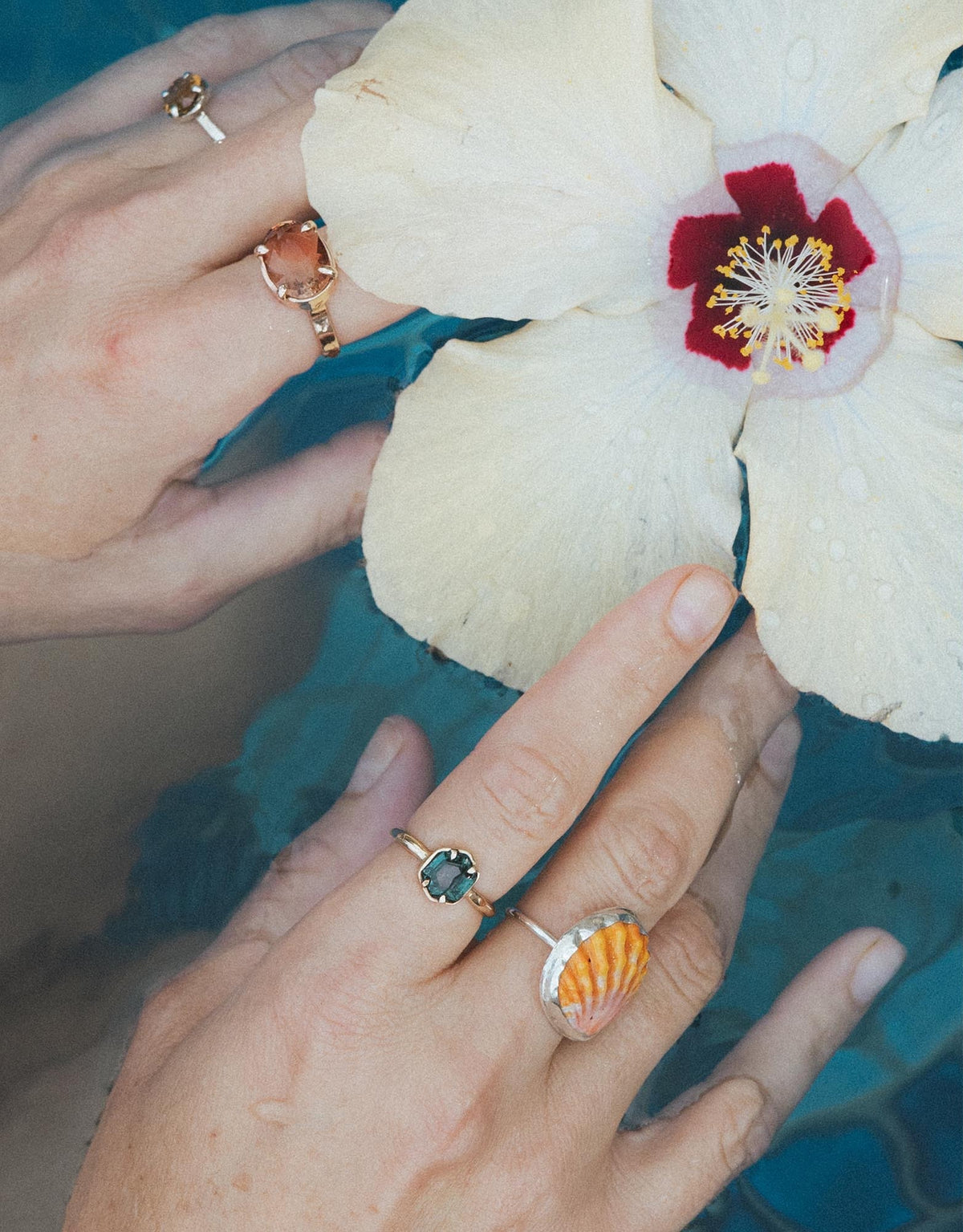 Hand with rings holding a hibiscus