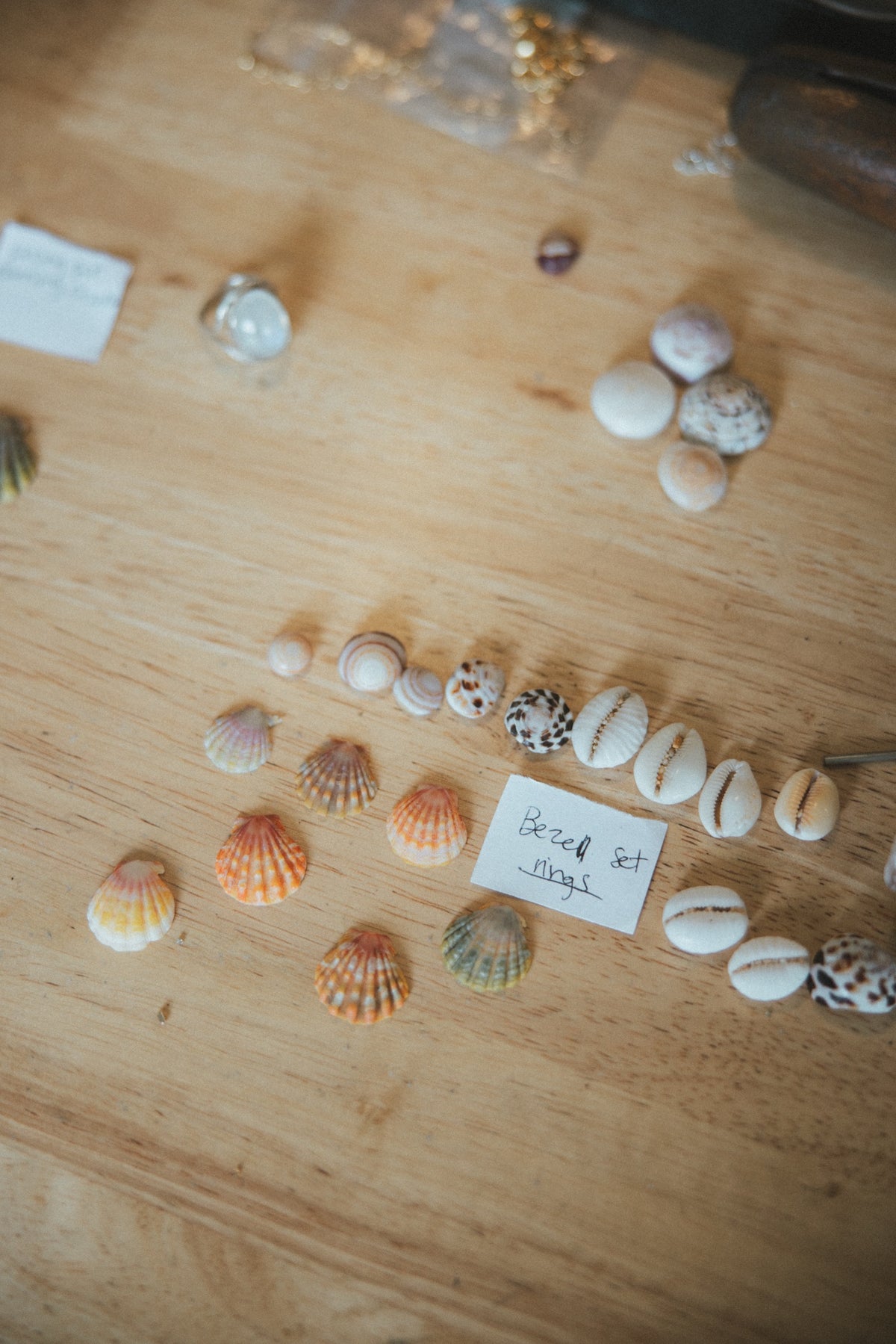 Sunrise shells and cowries sorted on the workbench