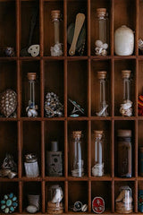 Wish Bottle - Shells + Sea Glass