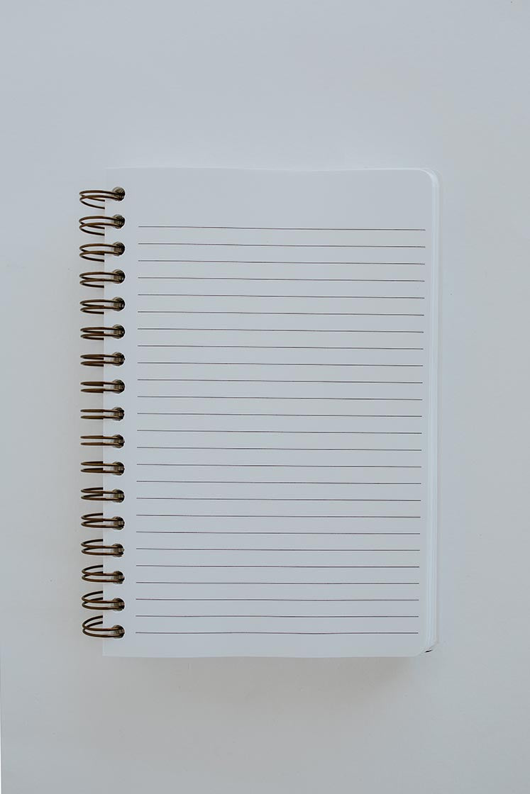 Wings Hawaii zodiac journal - inside lined